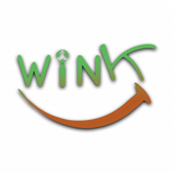 Wink Logo 2020