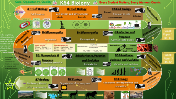 Science Curriculum Roadmap 1